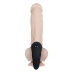 Image de Vibrating Ball Cradle