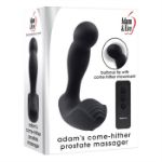 Image de ADAM'S COME HITHER PROSTATE MASSAGER