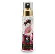 Image de Shunga - Gentle Toy Cleaner